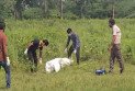 কিশোরীকে ধর্ষণের পর ছুরিকাঘাতে হত্যা, মাঠে ফেলে রাখা মরদেহ খেল কুকুর